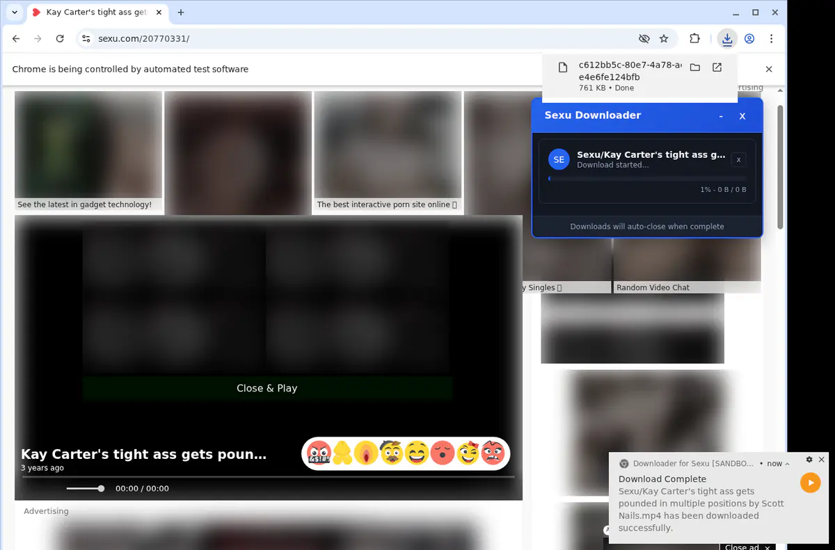 Sexu Video Downloader browser extension screenshot 2