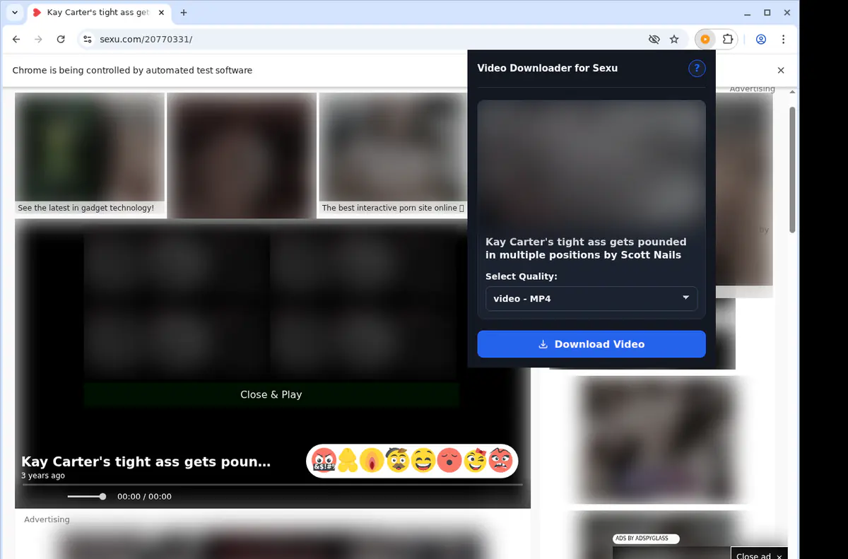 Sexu Video Downloader browser extension screenshot 3